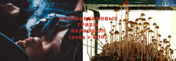 MESCALINE Магадан