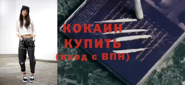 СК Медвежьегорск