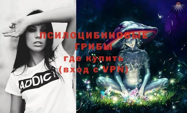 ешки Магас
